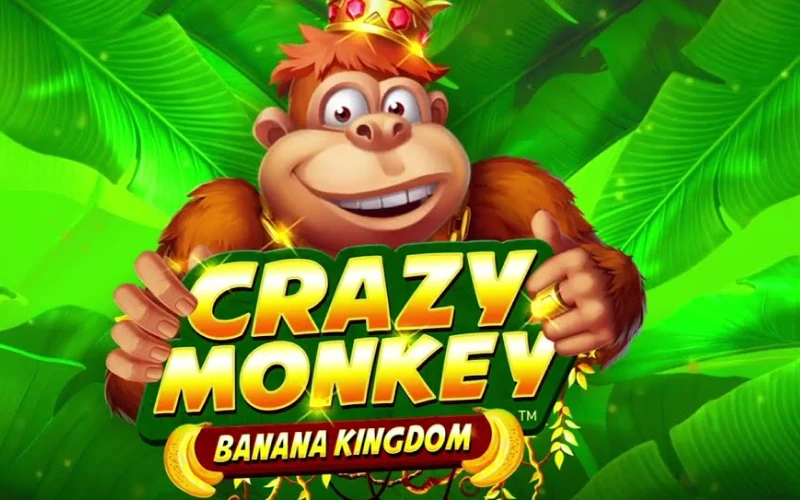 Find Crazy Monkey in the slot games section at Krikya online casino.