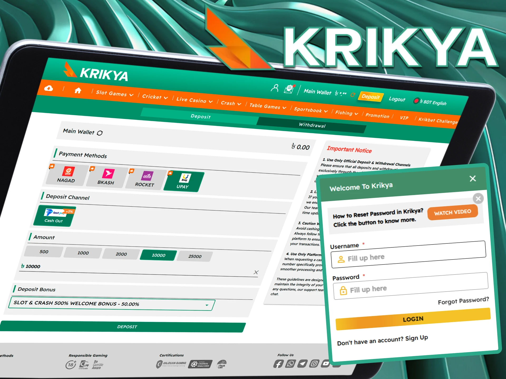 Read step-by-step instructions on how to make a deposit at Krikya online casino.